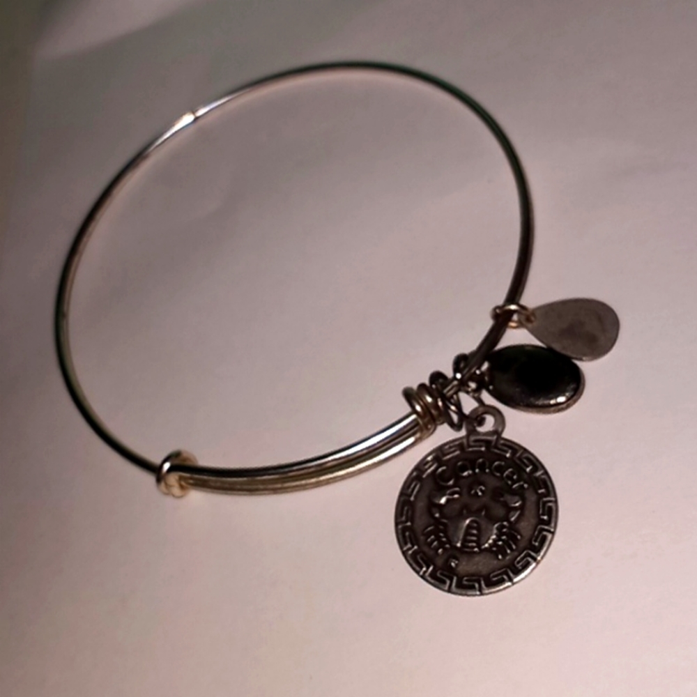 Bella Ryann Cancer ♋ Crab Bracelet